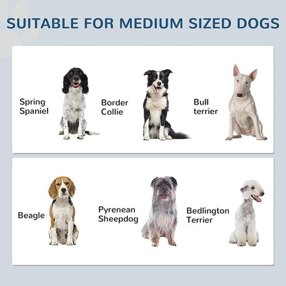 PawHut Pet Feeding Station, Elevated Dog Bowls, Dog Food Storage Cabinet - Image 4