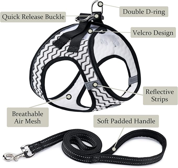 BOOMIBOO Dog Harness with Leash Set, No Pull Adjustable Reflective Step-in - Image 2