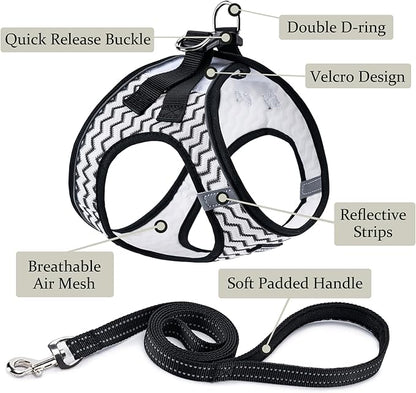BOOMIBOO Dog Harness with Leash Set, No Pull Adjustable Reflective Step-in - Image 2