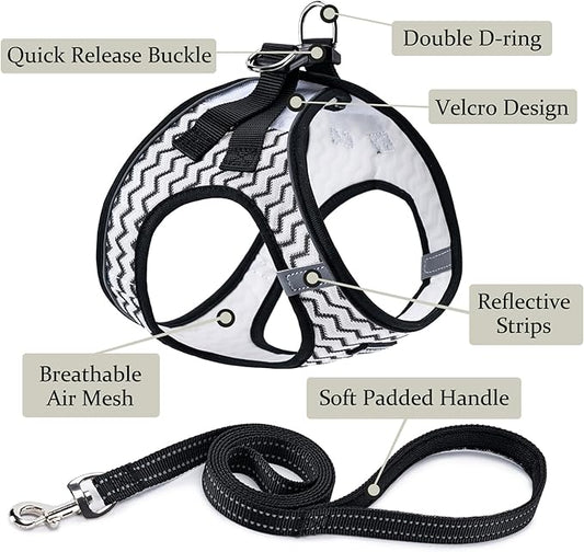 BOOMIBOO Dog Harness with Leash Set, No Pull Adjustable Reflective Step-in - Image 2