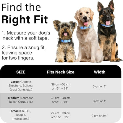 4.2FT Dog Collar and Leash Set, PVC Waterproof Adjustable Odor Proof Pet - Image 8