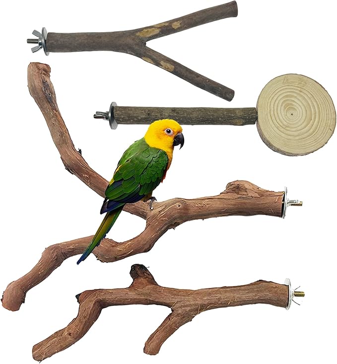 Allazone 4 PCS Natural Wood Bird Perch Stand, Bird Parrot Perch Stand Set by Allazone
