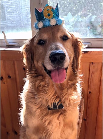 Pet Crown Hat Dog Birthday Reusable Birthday Party Crown - Image 3