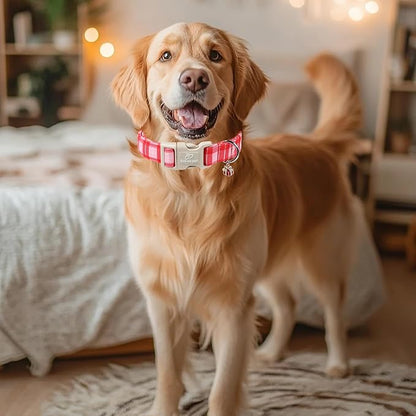Plaid Dog Collar - Image 7