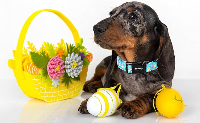 DOGWONG Easter Dog Collar, Colorful Egg Dog Collar Soft Durable Adjustable - Image 5