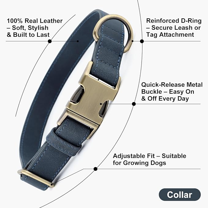 Plutus Pet Genuine Leather Dog Collar – Adjustable Pet Collar - Image 2