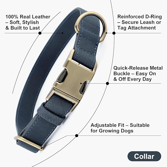 Plutus Pet Genuine Leather Dog Collar – Adjustable Pet Collar - Image 2