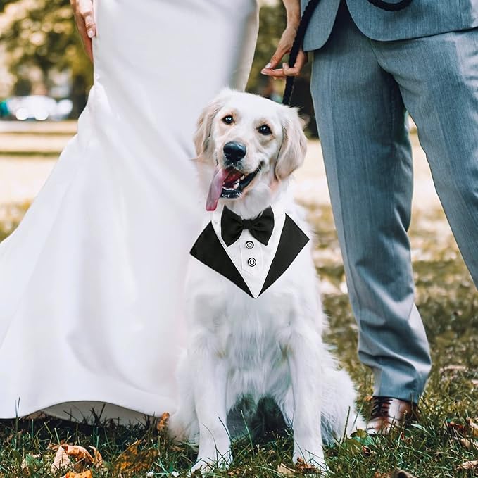 Segarty Formal Dog Tuxedo Bandana Dog Wedding Attire, Adjustable Collar - Image 5