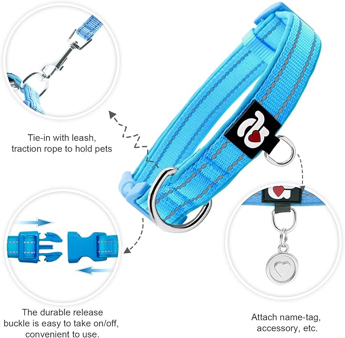 azuza Reflective Dog Collar, Soft Neoprene Padded Pet Collar - Image 2