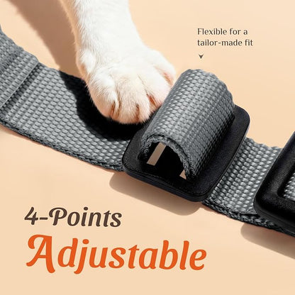 Dooradar Cat Harness and Leash Set, Escape Proof Safe Adjustable Kitten Vest - Image 3
