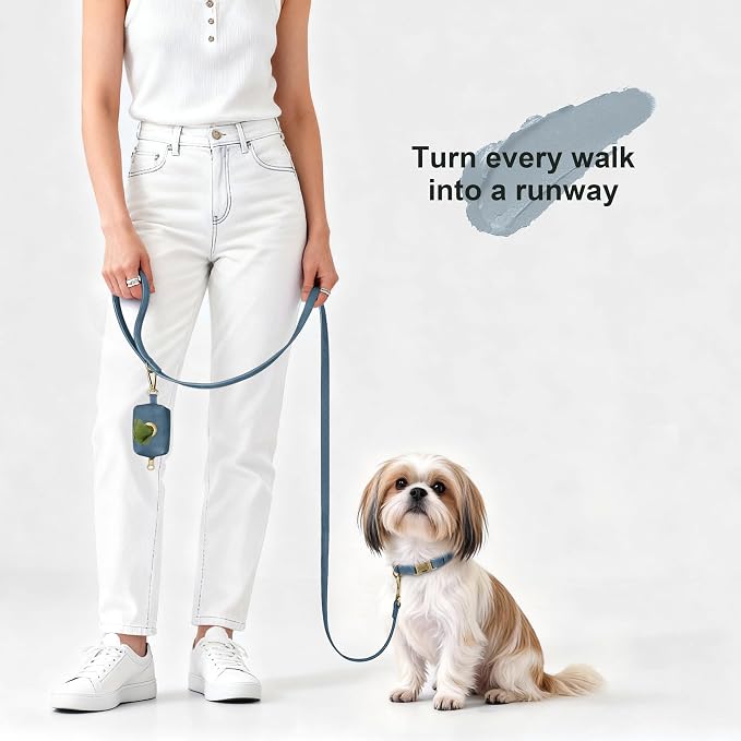 Didog Soft PU Leather Dog Collar, Stylish Quick Released Dog Collars - Image 4