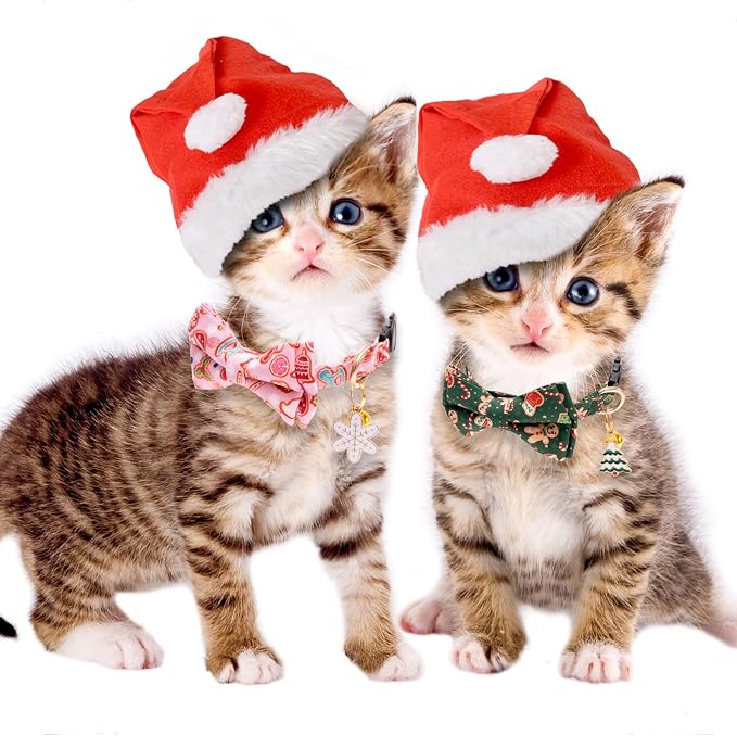Faygarsle 2 Pack Christmas Cat Collars - Image 6