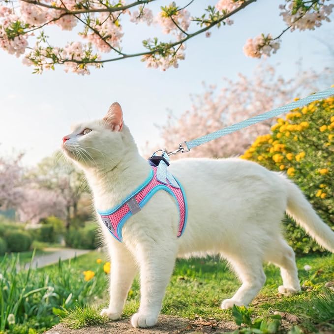 SCENEREAL Cat Harness and Leash Set Escape Proof, Adjustable Soft Air Mesh - Image 6