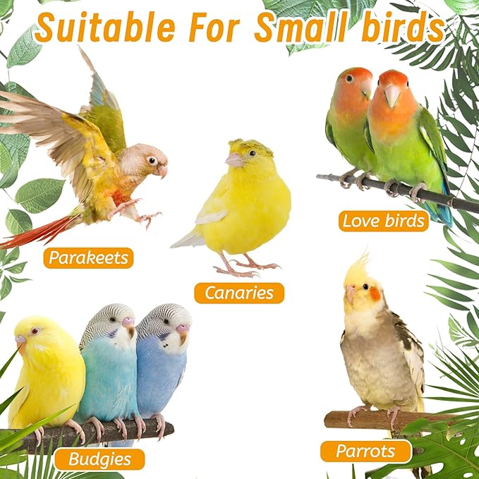 Hamiledyi Nature Wooden Bird Ladder Pet Parrots Climb Bridge Exercise Stands - Image 7