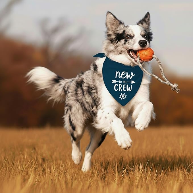 New to The Crew Dog Bandana New Puppy Announcement Gender Reveal Gift - Image 6