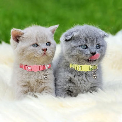 azuza 4 Pack Kitten Collar Breakaway - Image 4