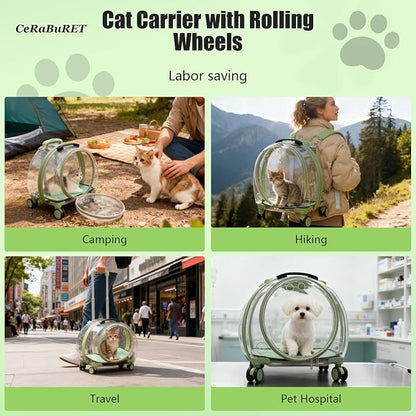 Transparent & Fully Breathable Hard Cat Carrier - Image 5