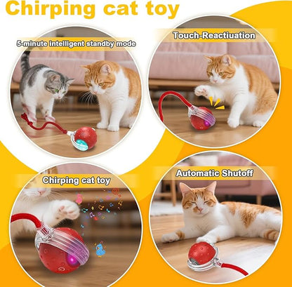 3-Pack Interactive Cat Toys Ball - Image 3