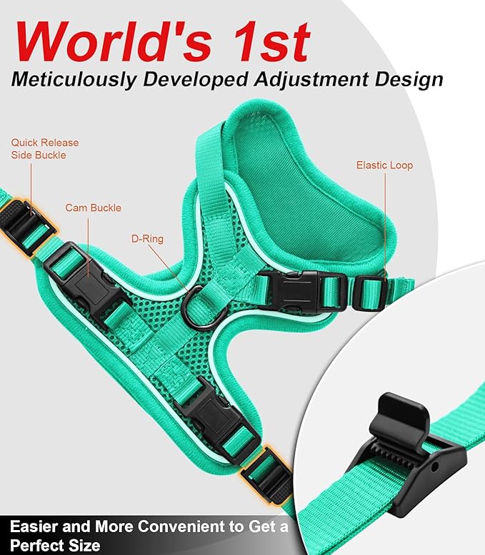 Cat Harness and Leash for Walking Escape Proof Soft Adjustable Cat Leash - Image 5