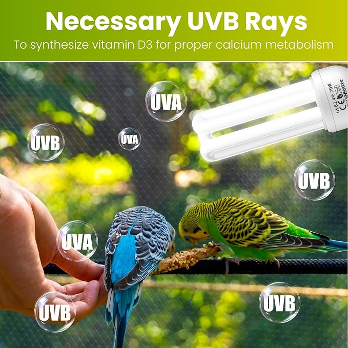 GlowUp 2.4% UVB Bulb for Birds, 20W Compact Fluorescent Light Bulb UVA UVB - Image 2