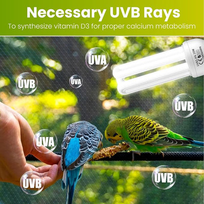 GlowUp 2.4% UVB Bulb for Birds, 20W Compact Fluorescent Light Bulb UVA UVB - Image 2