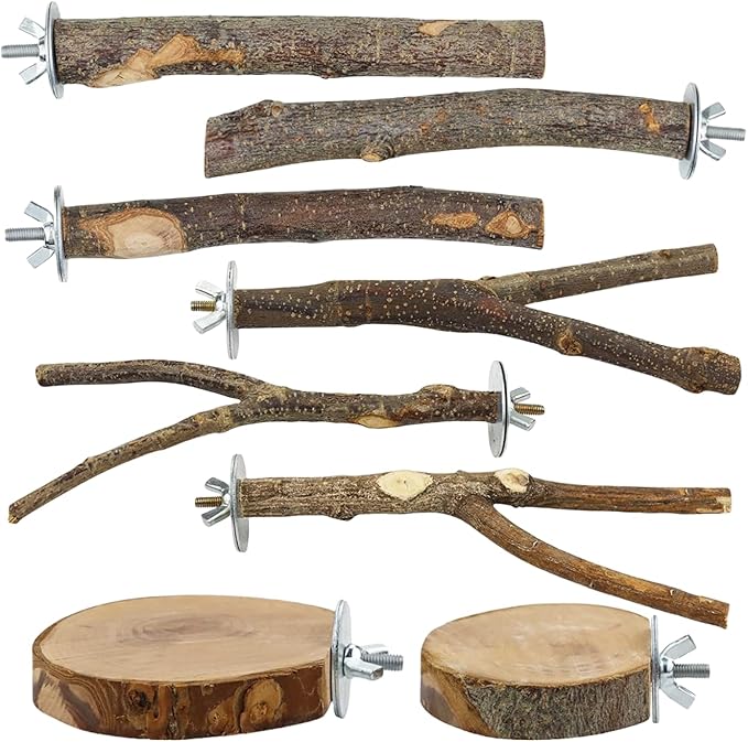 8-Piece Set Natural Wood Bird Perches by Unknown