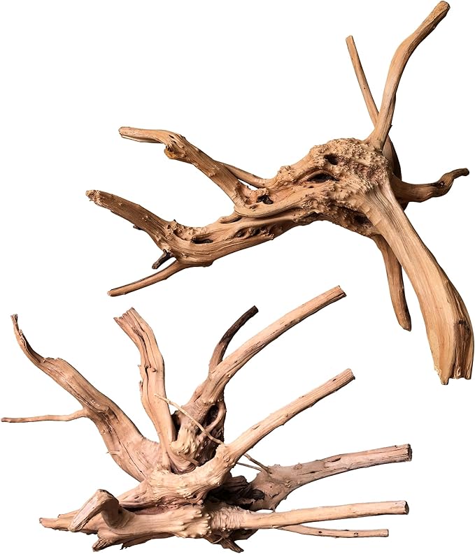 majoywoo Natural Large Driftwood by Majoywoo