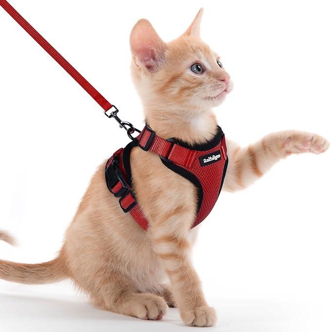 rabbitgoo Cat Harness and Leash by rabbitgoo