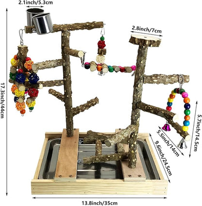 Tfwadmx Bird Playground Natural Wood Bird Play Stands Parrot Perch Stand - Image 3