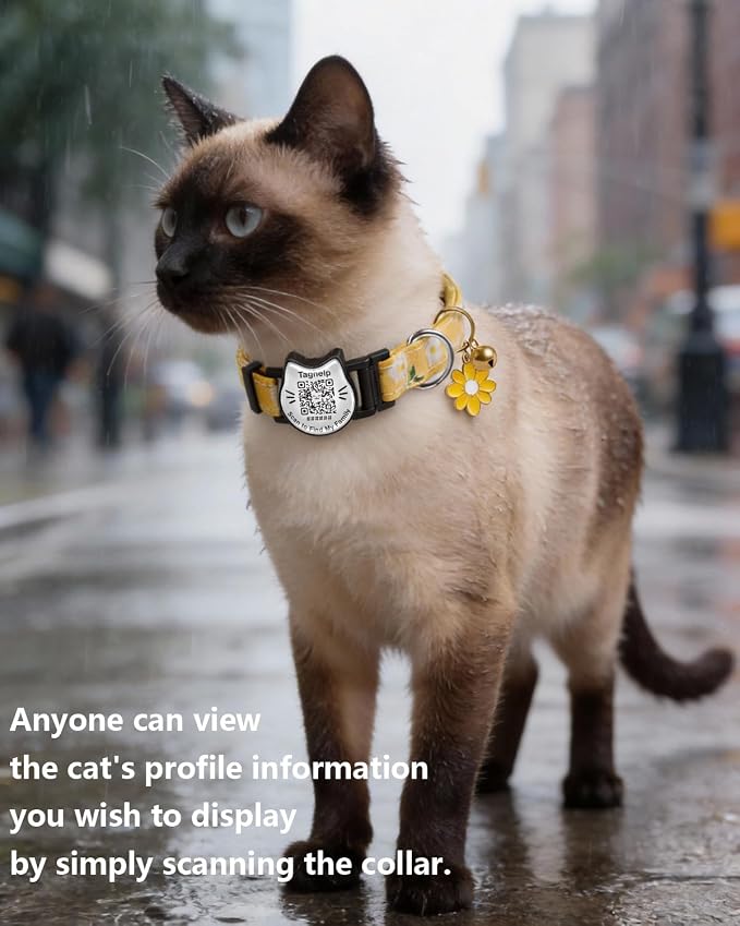 Breakaway Cat Collar with QR Code ID Tag, Adjustable Cotton Kitten Collar with - Image 2