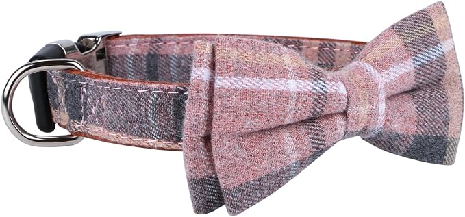 Faleela Cute Soft Girl Dog Collar - Image 3