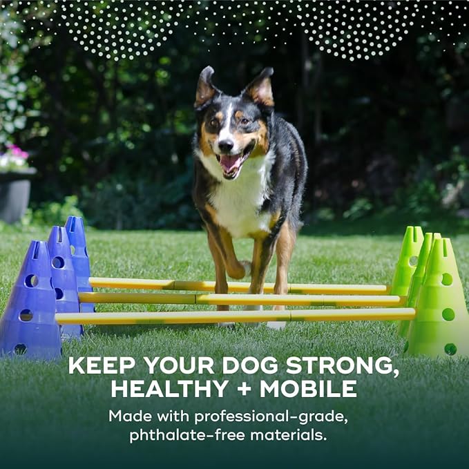 FitPAWS Ball Dynamics CanineGym Agility Kit - Image 2