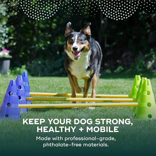 FitPAWS Ball Dynamics CanineGym Agility Kit - Image 2