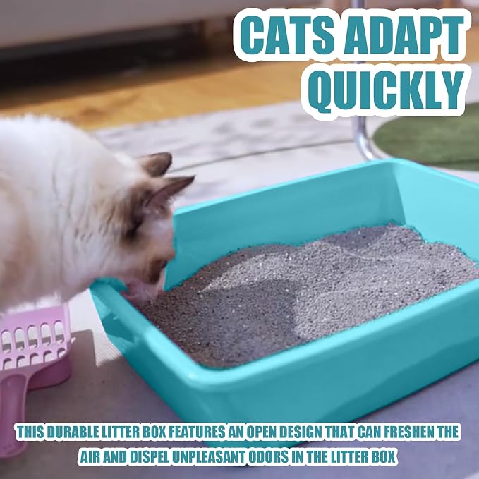 Small Litter Box, Plastic Kitten Litter Box, 13.9 x 9.8 x 3 Inch Open Litter Box - Image 4