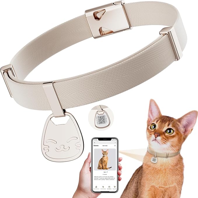 Cat Collar with QR Code Name Tag, Breakaway Kitten Collar by typecase