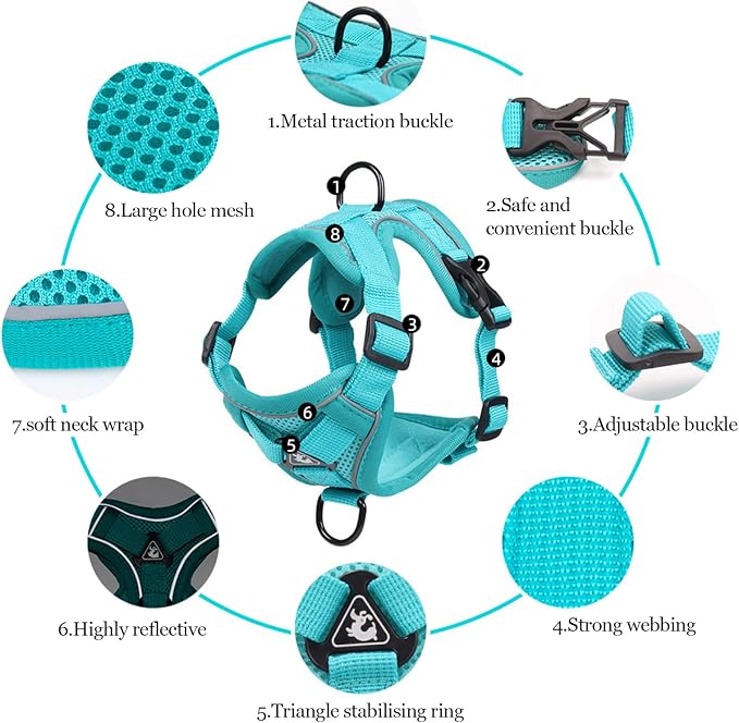 Wanheart Summer cat Chest Harness and Leash, Anti-Escape Adjustable Soft mesh - Image 4