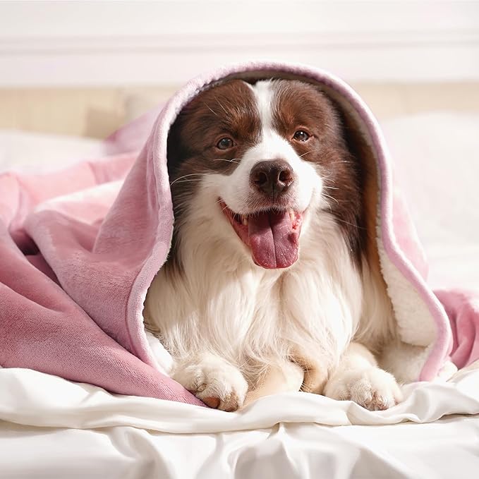 gogobunny Waterproof Bed Blanket, Reversible Sherpa Fleece Throw Blanket - Image 9
