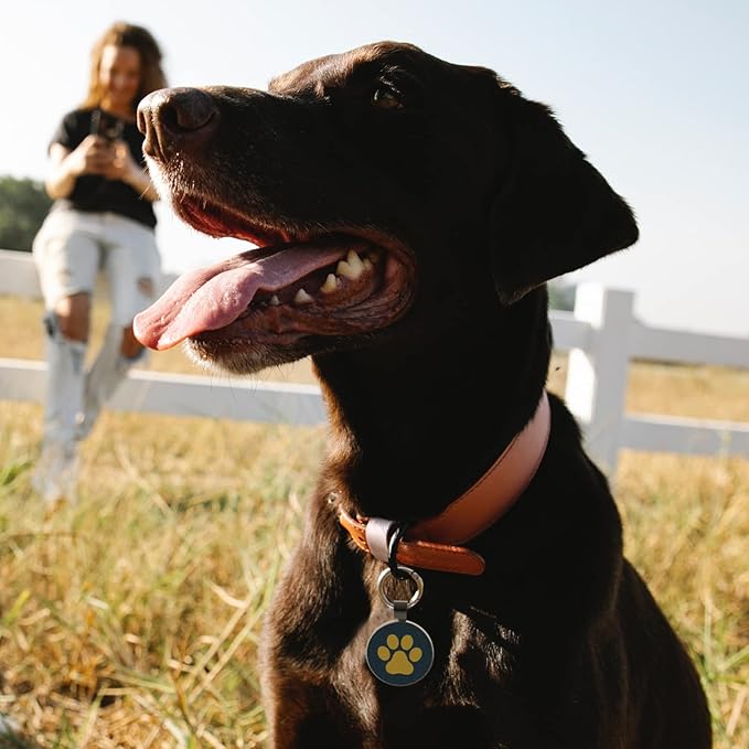 MYLUCKYTAG QR Code Pet ID | Personalized Dog & Cat Collar Tag | Online Profile - Image 3
