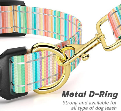Reflective Dog Collar, Cute Dog Collar - Image 5