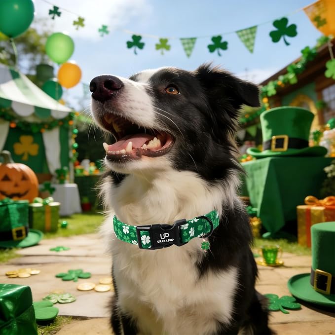 St. Patrick's Day Dog Collar, UP URARA PUP Shamrock Adjustable Pet Collar - Image 6