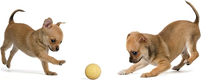Snug Rubber Dog Balls for Small and Medium Dogs - Image 5