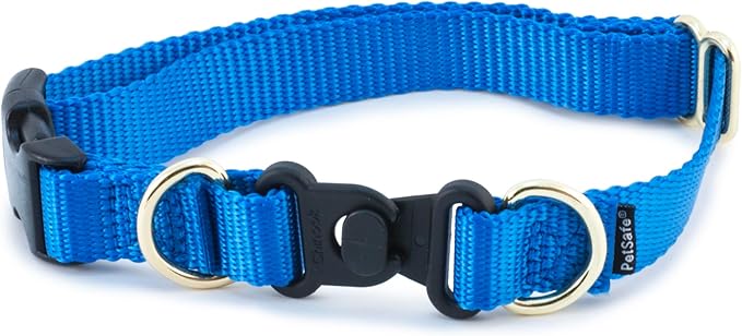PetSafe KeepSafe Collar for Dogs by PetSafe