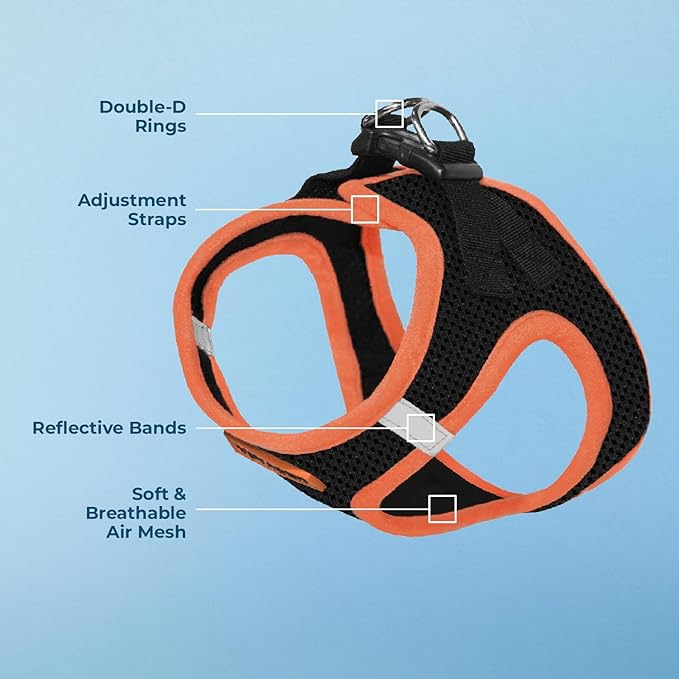 Best Pet Supplies - Image 4