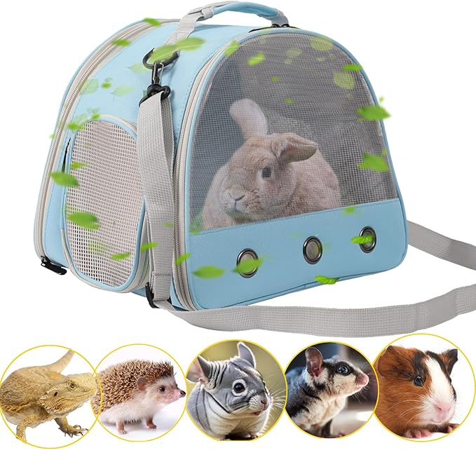 Ventilation Cage, Bearded Dragon Travel Carrier, Guinea Pig Carrier, Guinea Pig by WEVONIGU