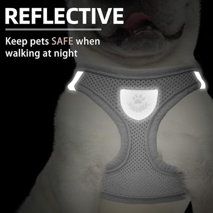 PUPTECK Adjustable Dog Harness Collar and Leash Set Step in No Pull Pet Harness - Image 5