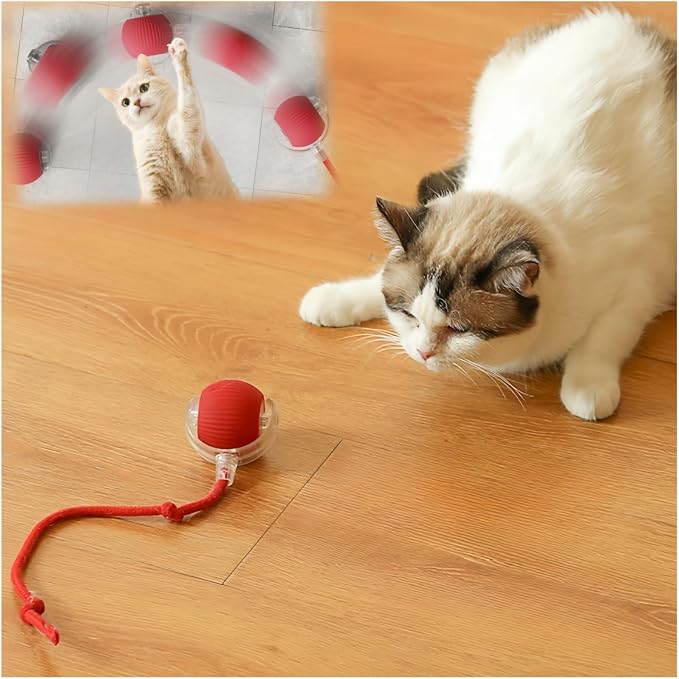 Interactive Cat Toys for Indoor Cats, Agility Move Cat Balls, Motion Activated by Goodqualityforyou