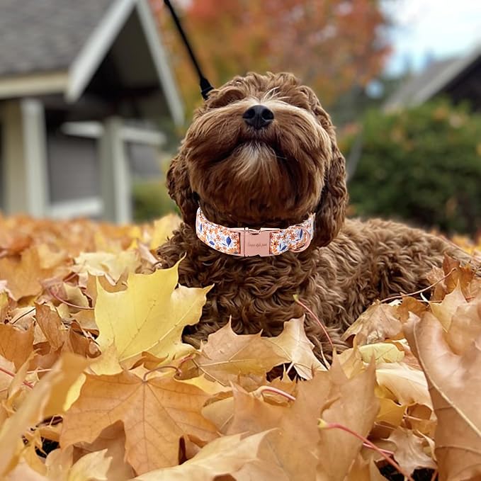 Unique style paws Dog Collar Metal Buckle Collar - Image 5