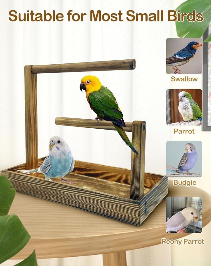 8 Pcs Small Bird Training Stand Set Portable Tabletop Birds Perch Desktop - Image 5