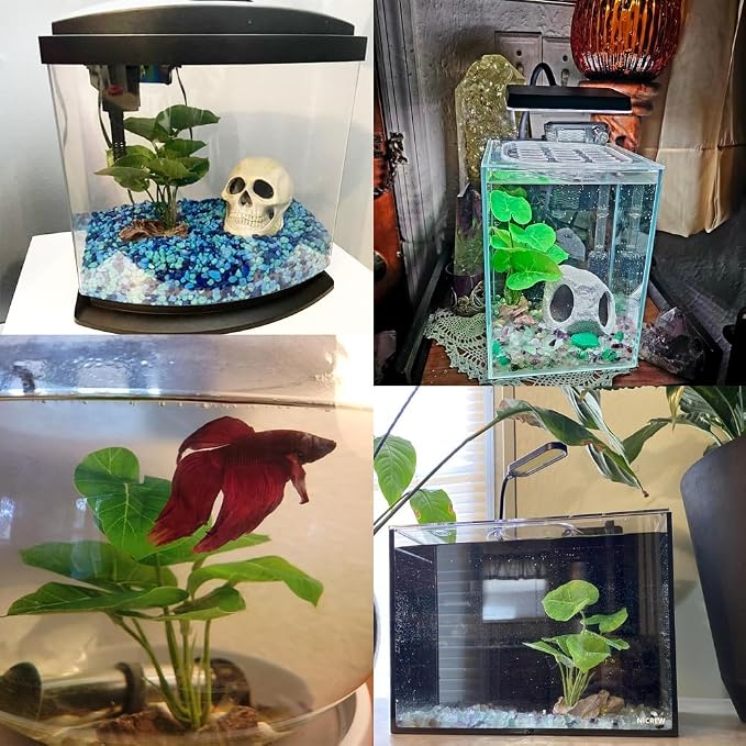 Smoothedo-Pets Fish Tank Decor Aquarium Decorations Ornaments Betta Leaf pad - Image 8