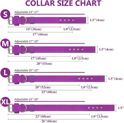 Heavy Duty Tactical Dog Collar - Image 5